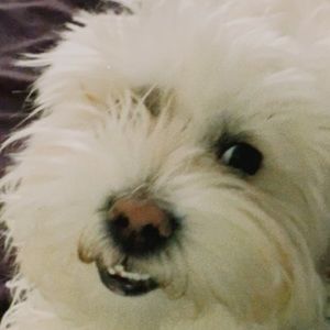 Meet your Posher, Chloe